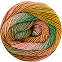 Silky Lace Rainbow